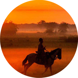 Llanos